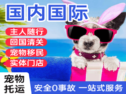 长治王村航空空运国际宠物托运 【国